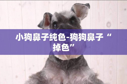 小狗鼻子純色-狗狗鼻子“掉色”