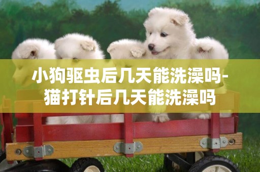 小狗驅蟲后幾天能洗澡嗎-貓打針后幾天能洗澡嗎