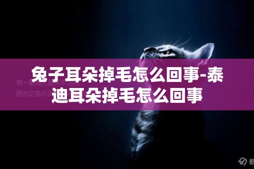 兔子耳朵掉毛怎么回事-泰迪耳朵掉毛怎么回事