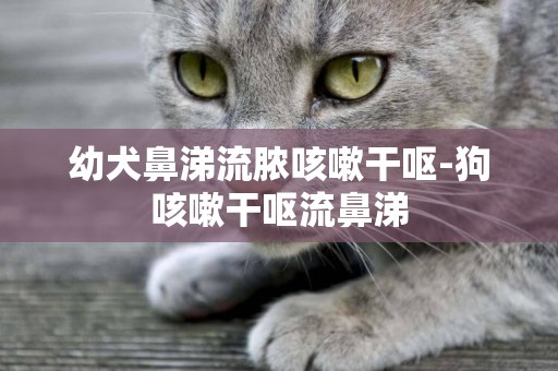 幼犬鼻涕流膿咳嗽干嘔-狗咳嗽干嘔流鼻涕