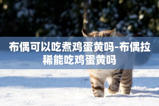 布偶可以吃煮雞蛋黃嗎-布偶拉稀能吃雞蛋黃嗎