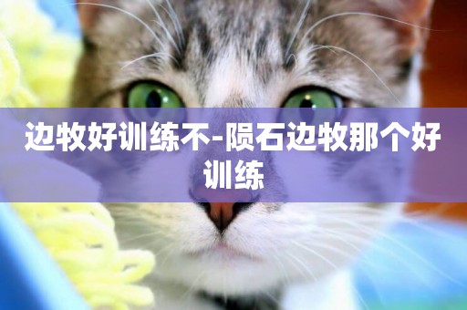 邊牧好訓練不-隕石邊牧那個好訓練
