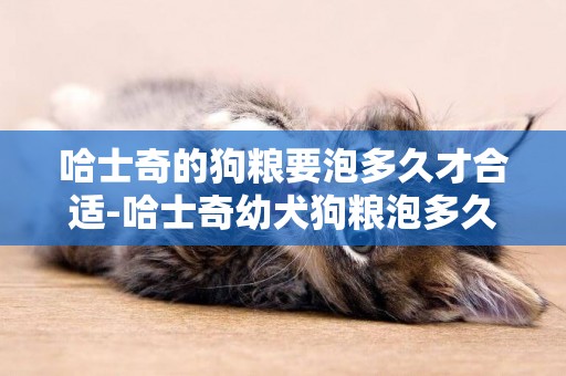 哈士奇的狗糧要泡多久才合適-哈士奇幼犬狗糧泡多久