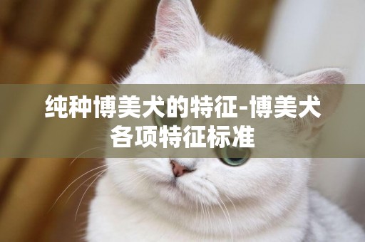 純種博美犬的特征-博美犬各項特征標準