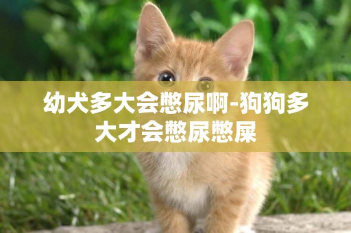 幼犬多大會憋尿啊-狗狗多大才會憋尿憋屎