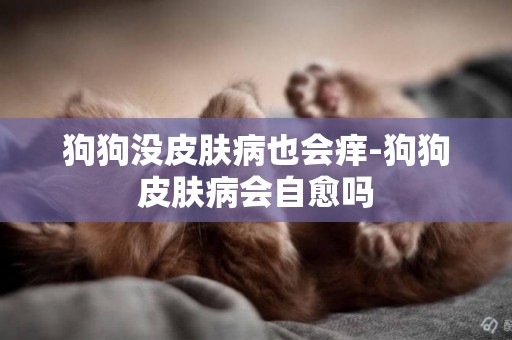 狗狗沒皮膚病也會癢-狗狗皮膚病會自愈嗎