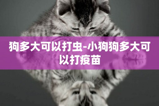 狗多大可以打蟲-小狗狗多大可以打疫苗