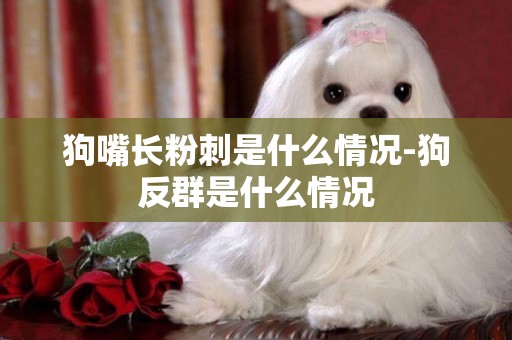 狗嘴長粉刺是什么情況-狗反群是什么情況