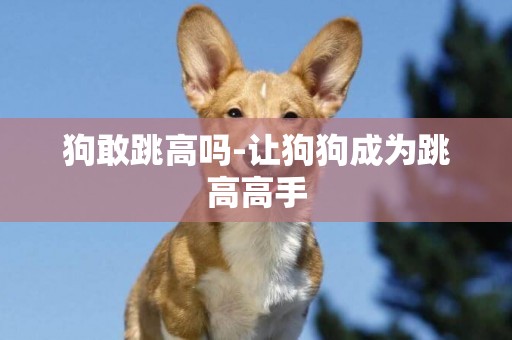 狗敢跳高嗎-讓狗狗成為跳高高手