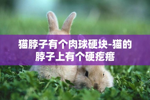 貓脖子有個肉球硬塊-貓的脖子上有個硬疙瘩