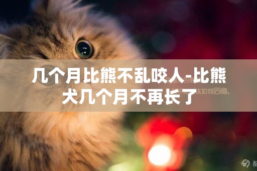 幾個月比熊不亂咬人-比熊犬幾個月不再長了