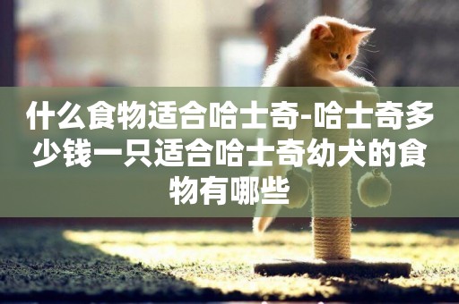 什么食物適合哈士奇-哈士奇多少錢一只適合哈士奇幼犬的食物有哪些