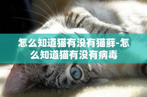怎么知道貓有沒有貓蘚-怎么知道貓有沒有病毒