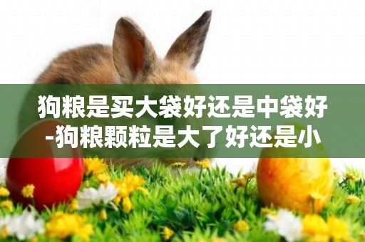 狗糧是買大袋好還是中袋好-狗糧顆粒是大了好還是小了好