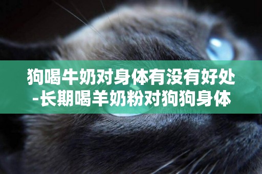 狗喝牛奶對身體有沒有好處-長期喝羊奶粉對狗狗身體好嗎