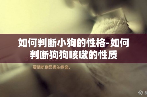 如何判斷小狗的性格-如何判斷狗狗咳嗽的性質