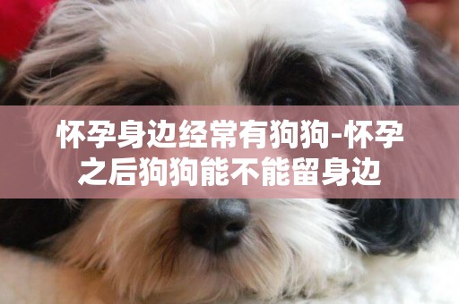 懷孕身邊經常有狗狗-懷孕之后狗狗能不能留身邊