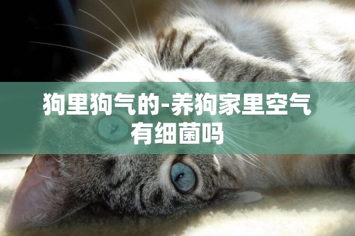 狗里狗氣的-養狗家里空氣有細菌嗎