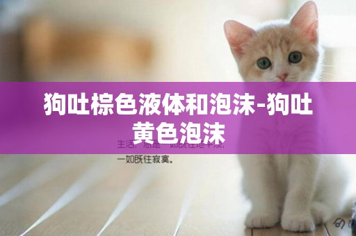狗吐棕色液體和泡沫-狗吐黃色泡沫
