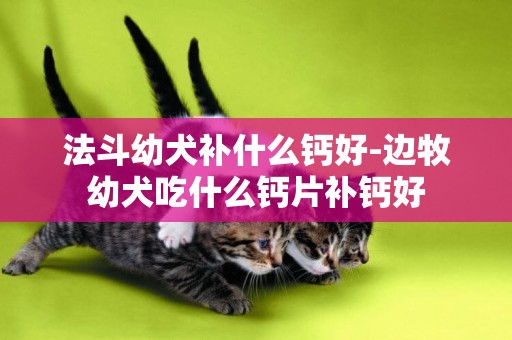法斗幼犬補什么鈣好-邊牧幼犬吃什么鈣片補鈣好