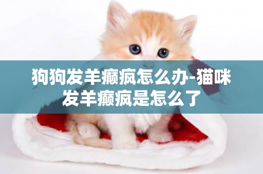 狗狗發羊癲瘋怎么辦-貓咪發羊癲瘋是怎么了