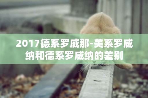 2017德系羅威那-美系羅威納和德系羅威納的差別