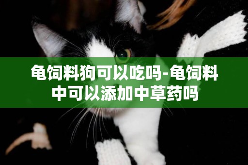 龜飼料狗可以吃嗎-龜飼料中可以添加中草藥嗎