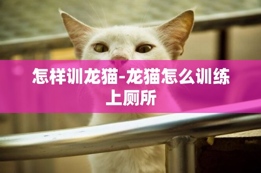 怎樣訓龍貓-龍貓怎么訓練上廁所