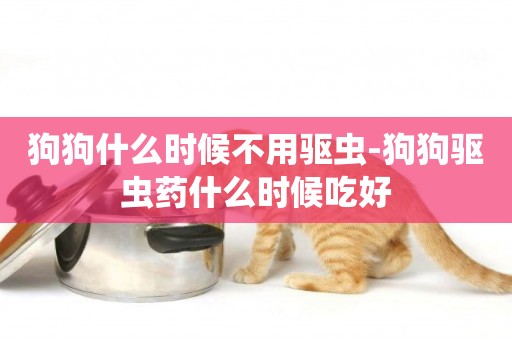 狗狗什么時候不用驅蟲-狗狗驅蟲藥什么時候吃好