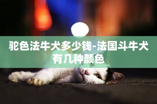 駝色法牛犬多少錢-法國斗牛犬有幾種顏色