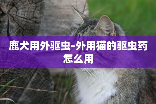 鹿犬用外驅蟲-外用貓的驅蟲藥怎么用