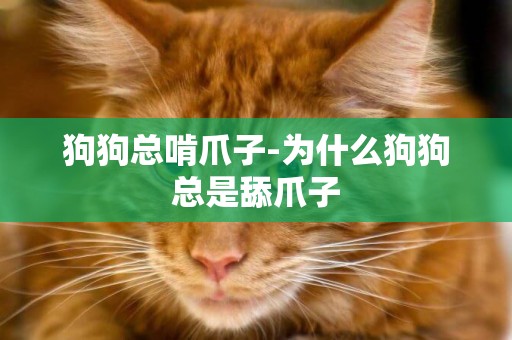 狗狗總啃爪子-為什么狗狗總是舔爪子