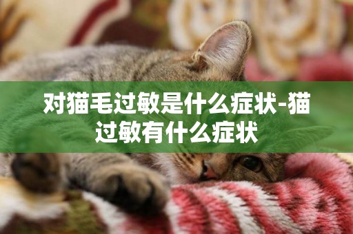 對貓毛過敏是什么癥狀-貓過敏有什么癥狀
