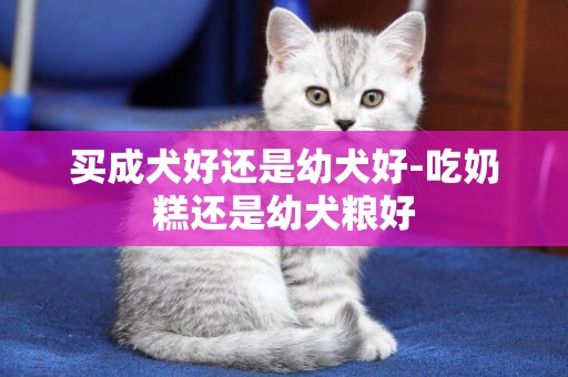 買成犬好還是幼犬好-吃奶糕還是幼犬糧好