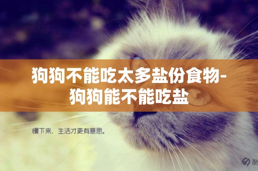 狗狗不能吃太多鹽份食物-狗狗能不能吃鹽