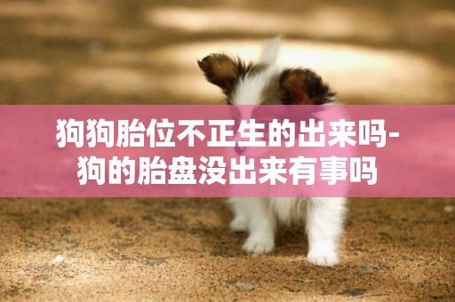 狗狗胎位不正生的出來嗎-狗的胎盤沒出來有事嗎