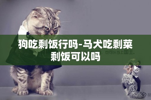 狗吃剩飯行嗎-馬犬吃剩菜剩飯可以嗎