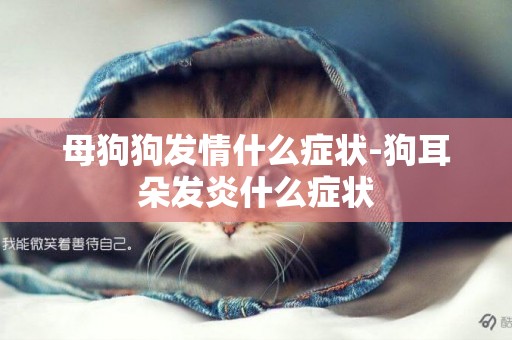 母狗狗發情什么癥狀-狗耳朵發炎什么癥狀