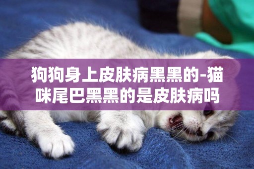 狗狗身上皮膚病黑黑的-貓咪尾巴黑黑的是皮膚病嗎