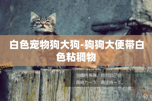 白色寵物狗大狗-狗狗大便帶白色粘稠物