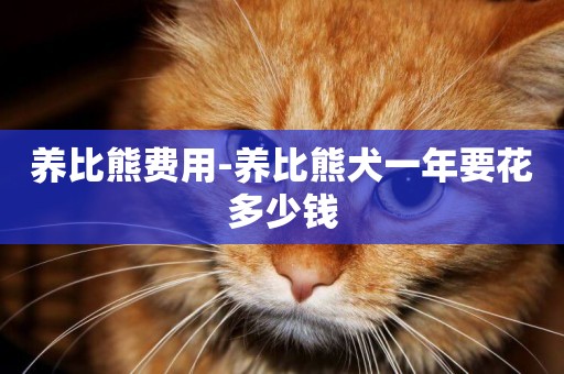 養比熊費用-養比熊犬一年要花多少錢