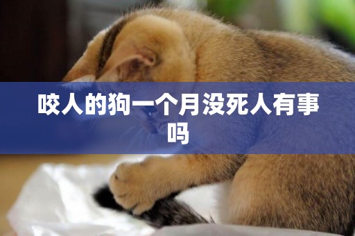 咬人的狗一個月沒死人有事嗎