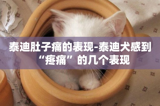 泰迪肚子痛的表現-泰迪犬感到“疼痛”的幾個表現