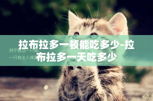 拉布拉多一頓能吃多少-拉布拉多一天吃多少