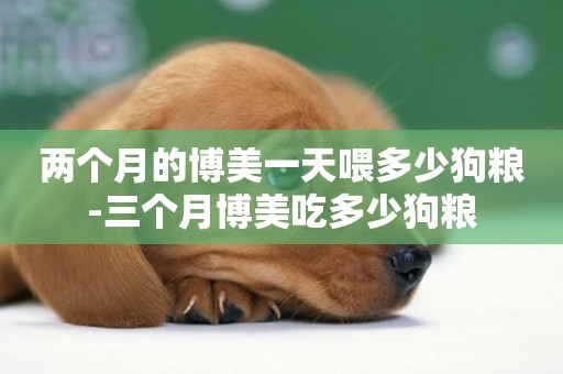 兩個月的博美一天喂多少狗糧-三個月博美吃多少狗糧
