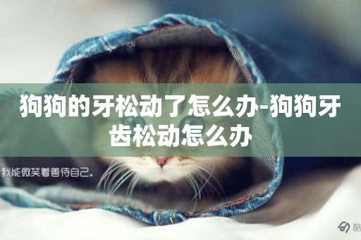 狗狗的牙松動了怎么辦-狗狗牙齒松動怎么辦