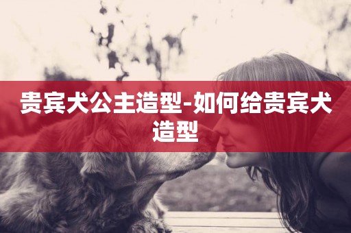 貴賓犬公主造型-如何給貴賓犬造型
