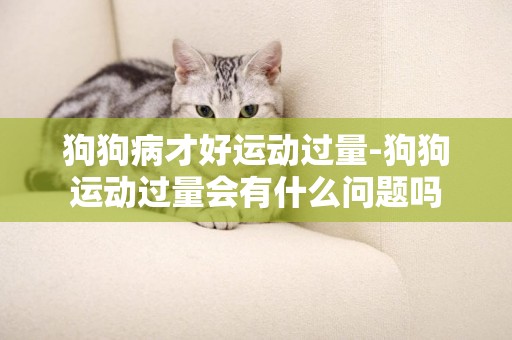 狗狗病才好運動過量-狗狗運動過量會有什么問題嗎