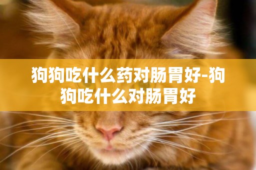 狗狗吃什么藥對腸胃好-狗狗吃什么對腸胃好