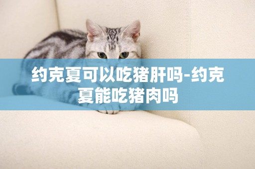 約克夏可以吃豬肝嗎-約克夏能吃豬肉嗎